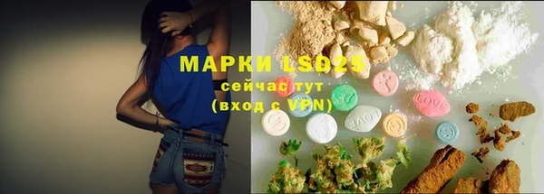 сатива Куйбышев