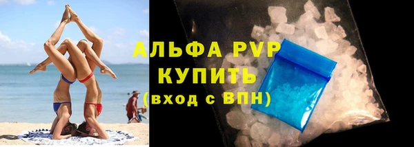сатива Куйбышев