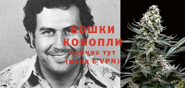 сатива Куйбышев