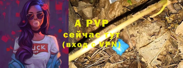 сатива Куйбышев
