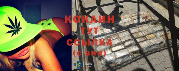 сатива Куйбышев