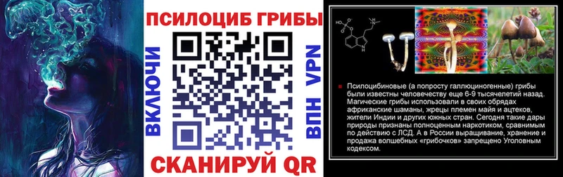 Псилоцибиновые грибы прущие грибы  Купить закладки  Белорецк 