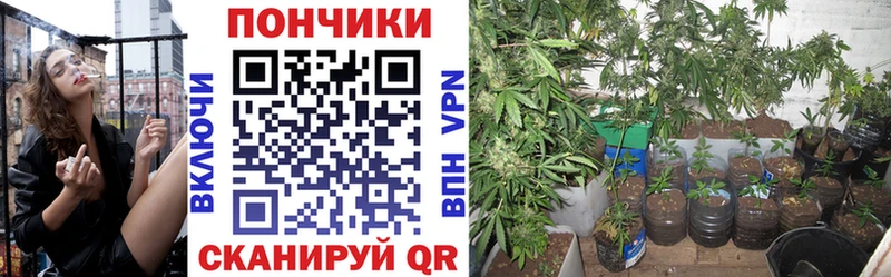 Конопля Bruce Banner Купить Белорецк
